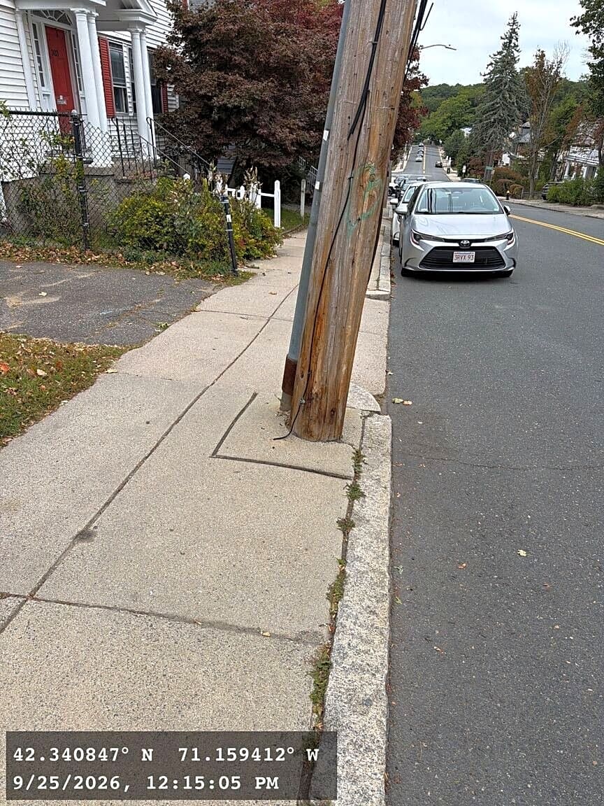 Image submitted with report