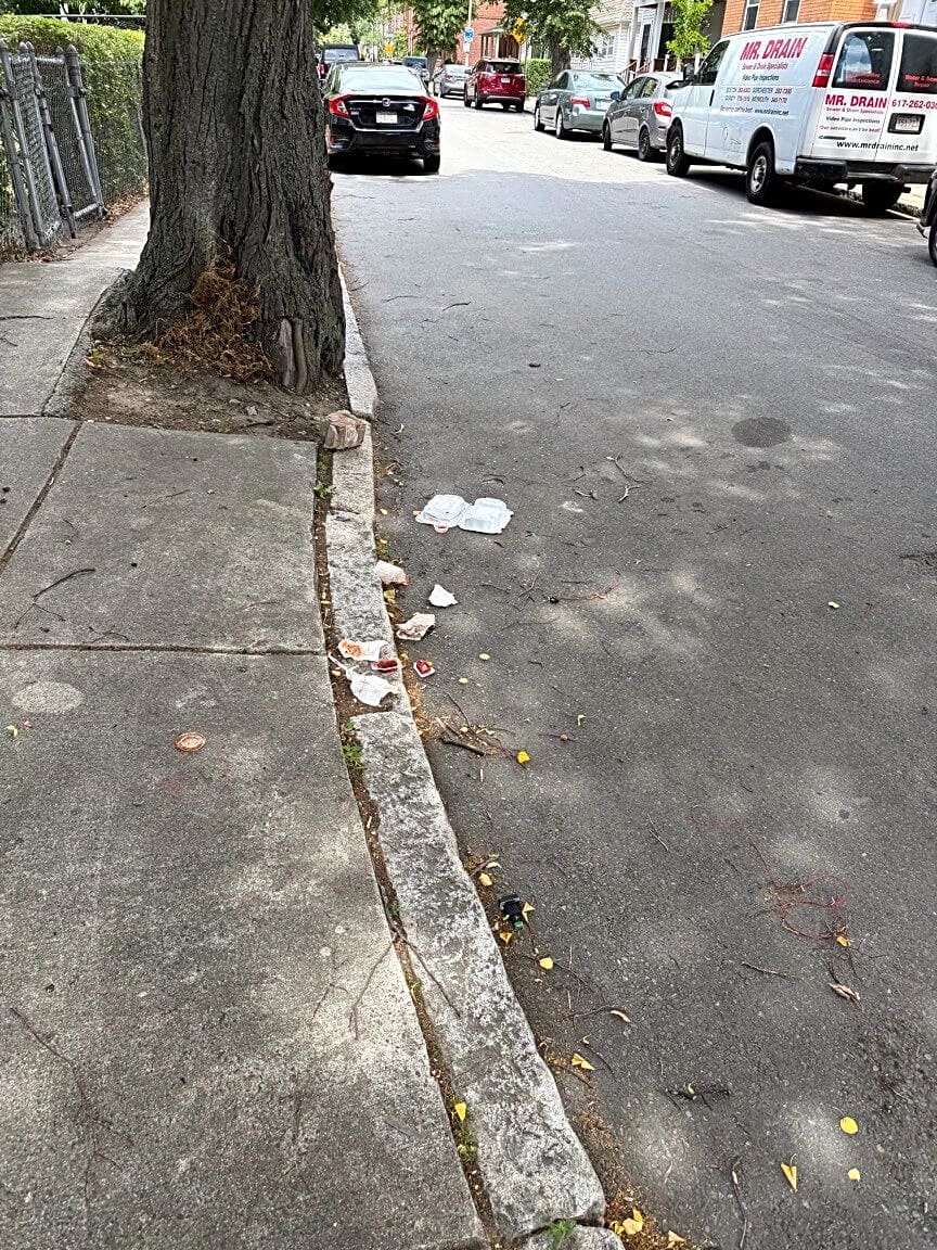 Image submitted with report