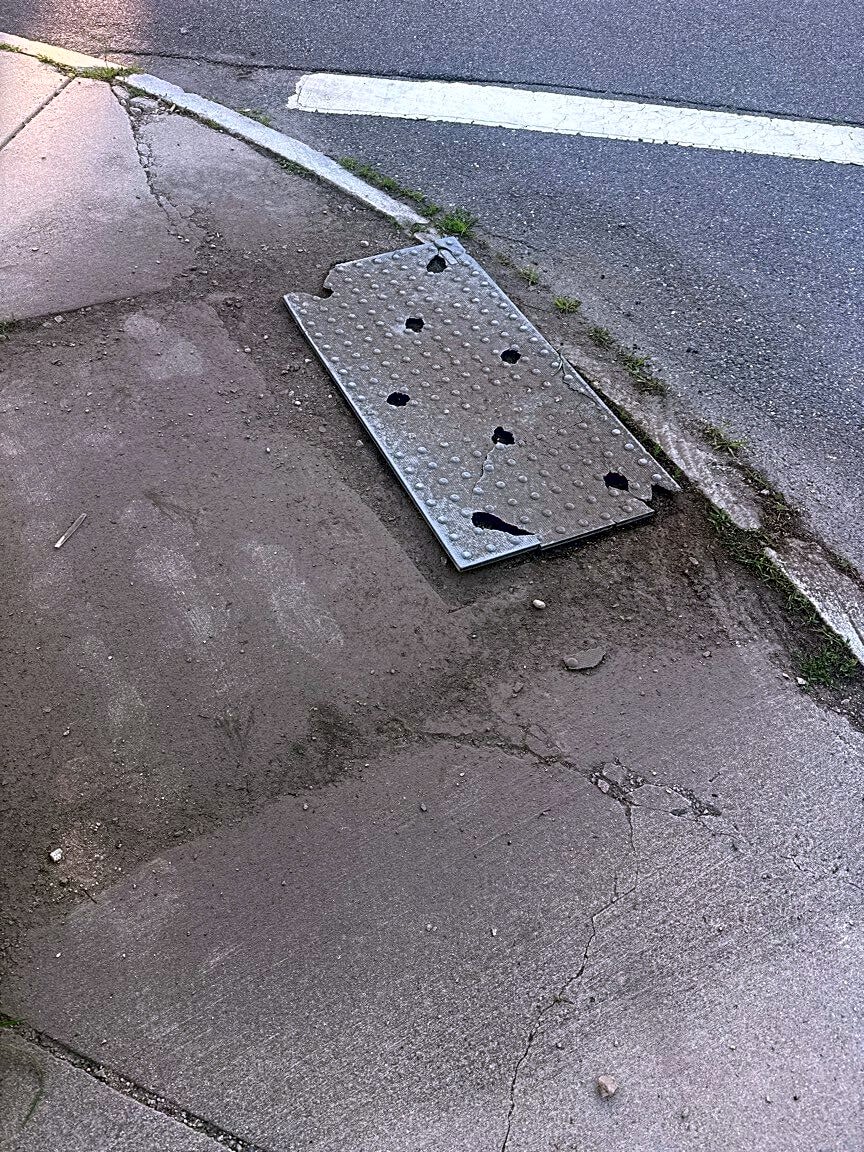 Image submitted with report