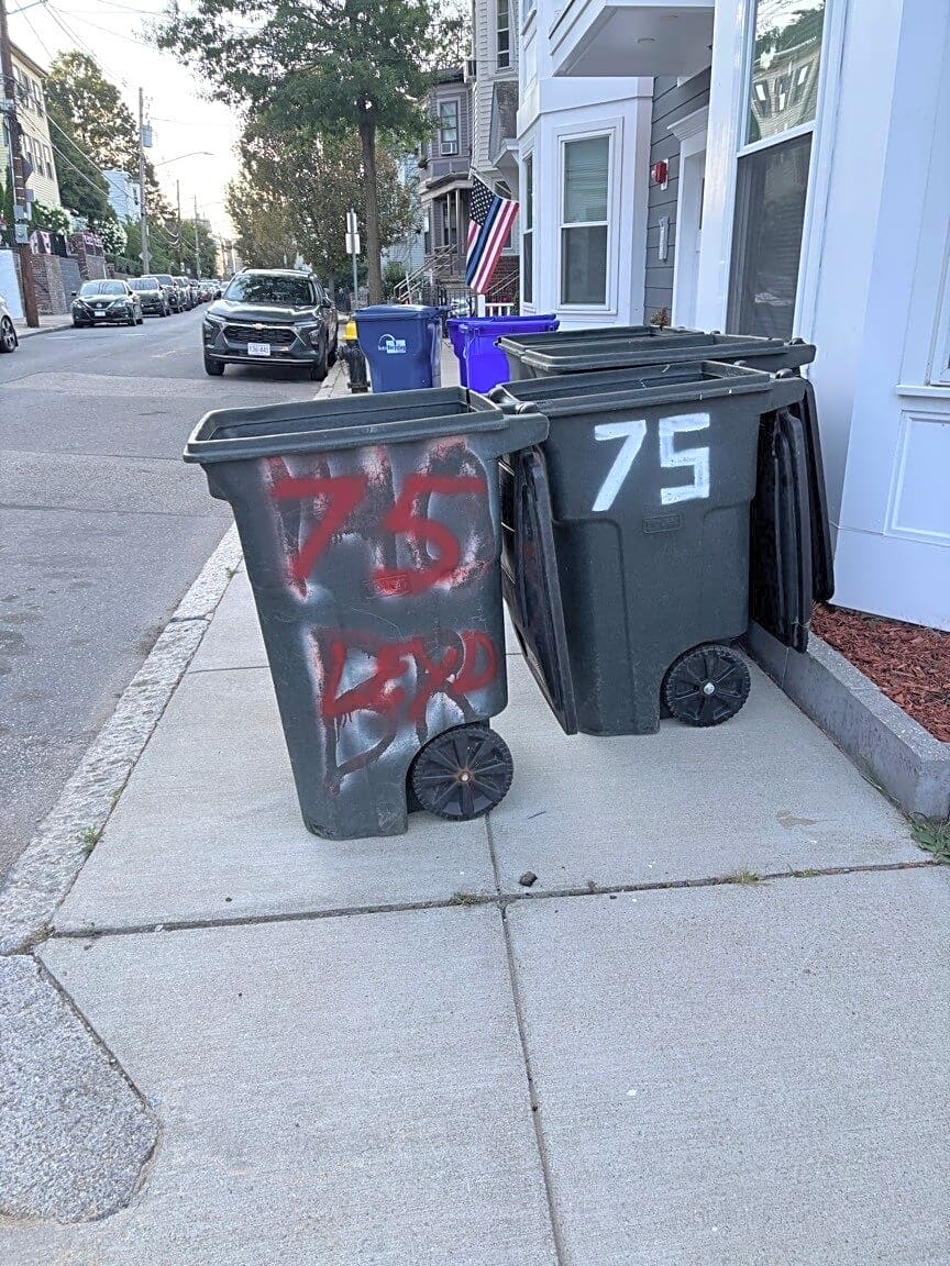 Image submitted with report