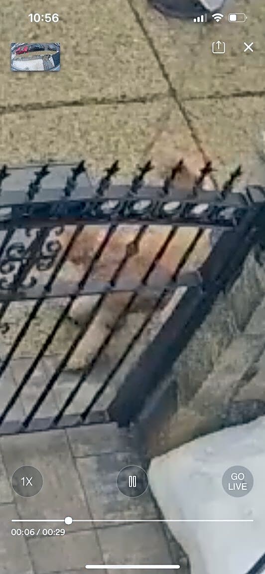 Image submitted with report