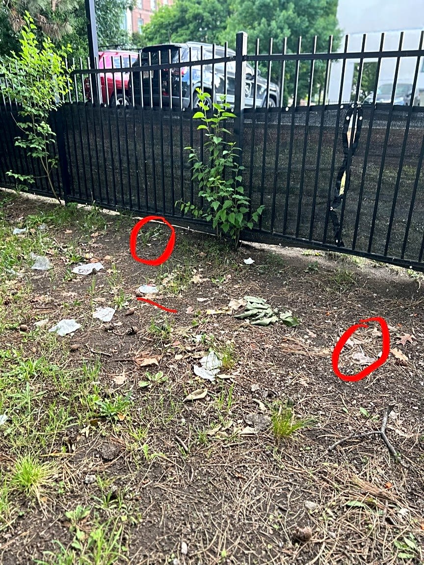 Image submitted with report