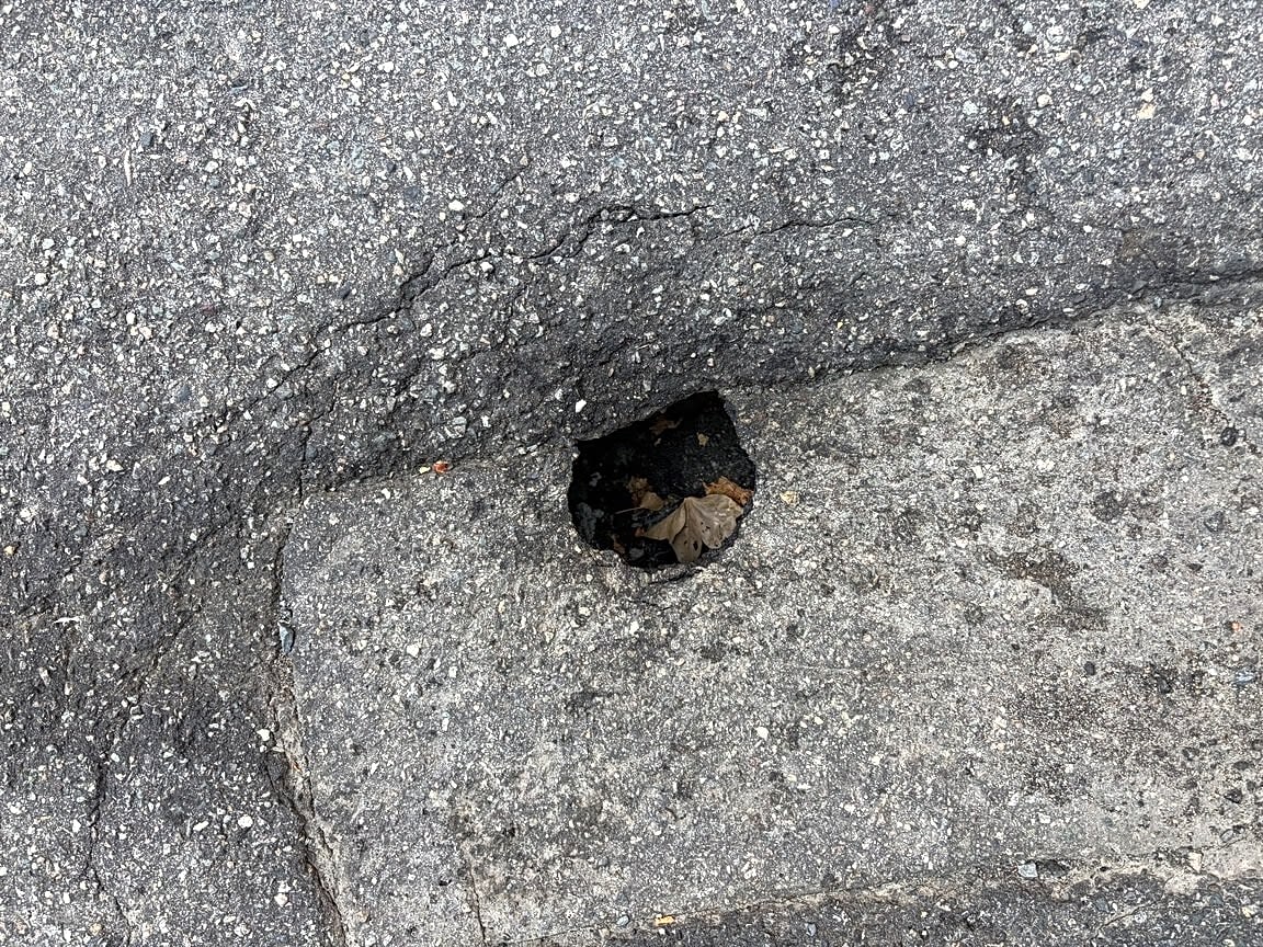 Image submitted with report