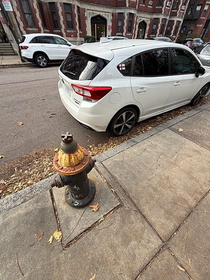 Image submitted with report