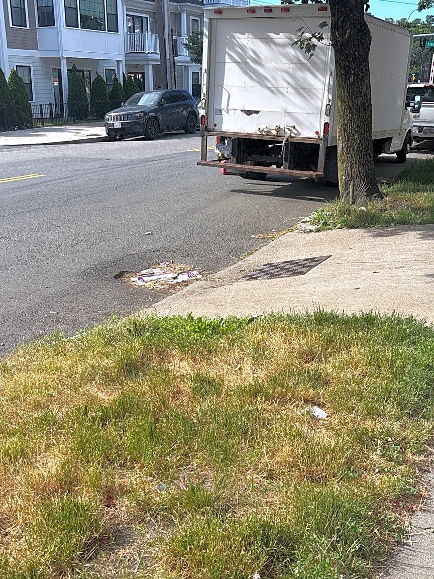 Image submitted with report