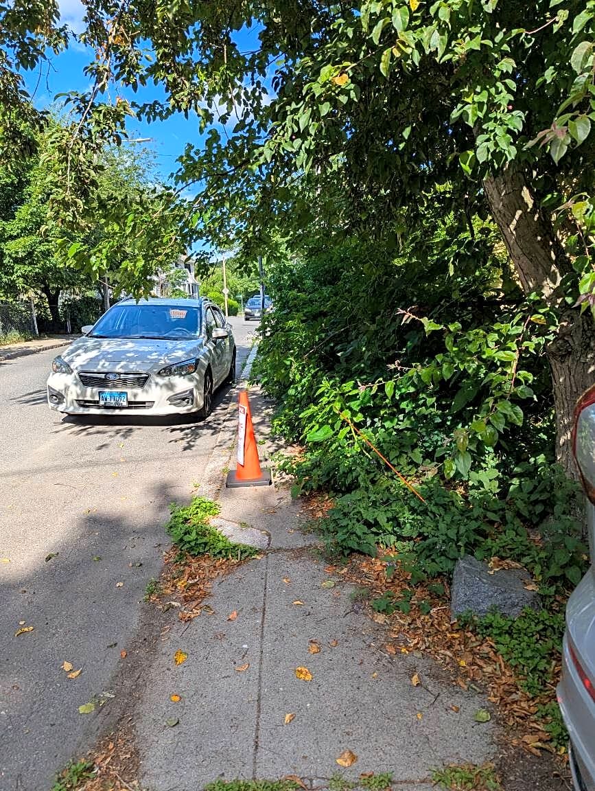 Image submitted with report