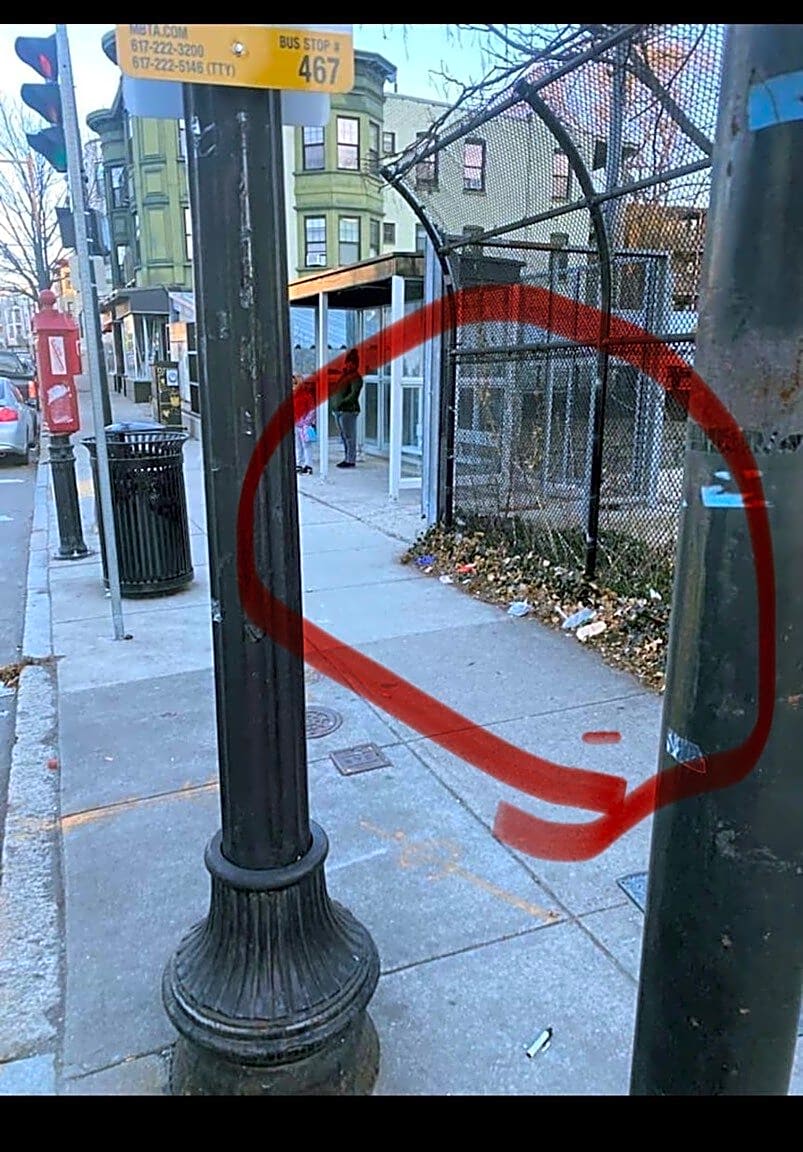 Image submitted with report