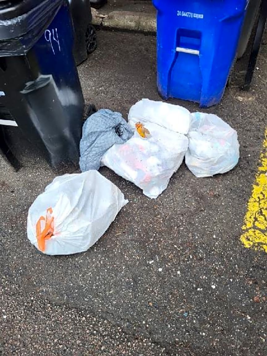 Image submitted with report