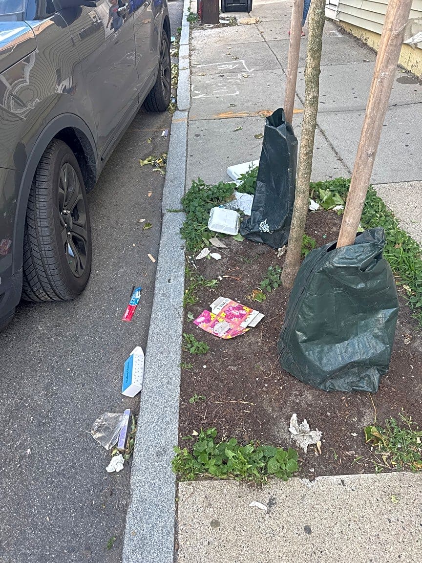 Image submitted with report