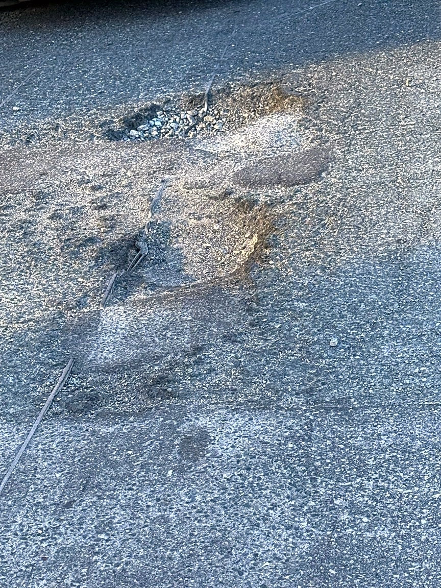 Image submitted with report