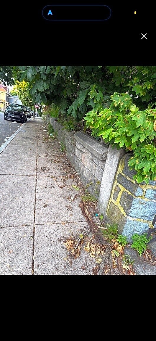 Image submitted with report
