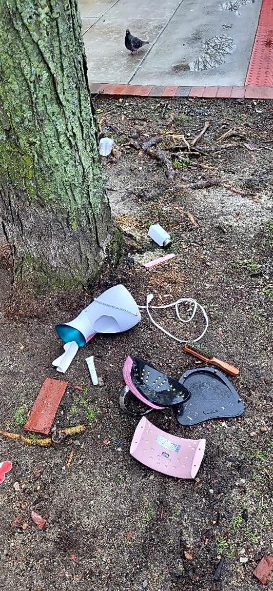 Image submitted with report