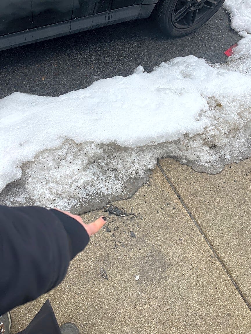 Image submitted with report