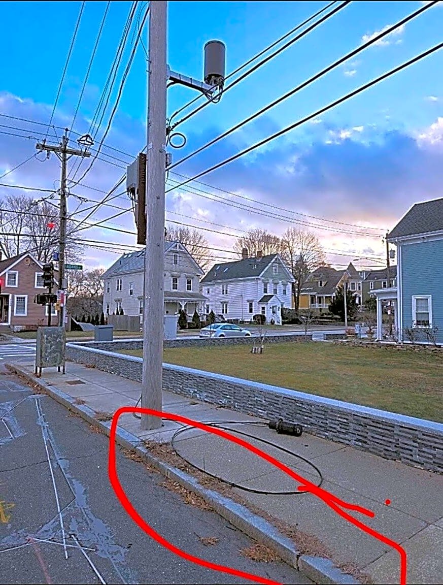 Image submitted with report