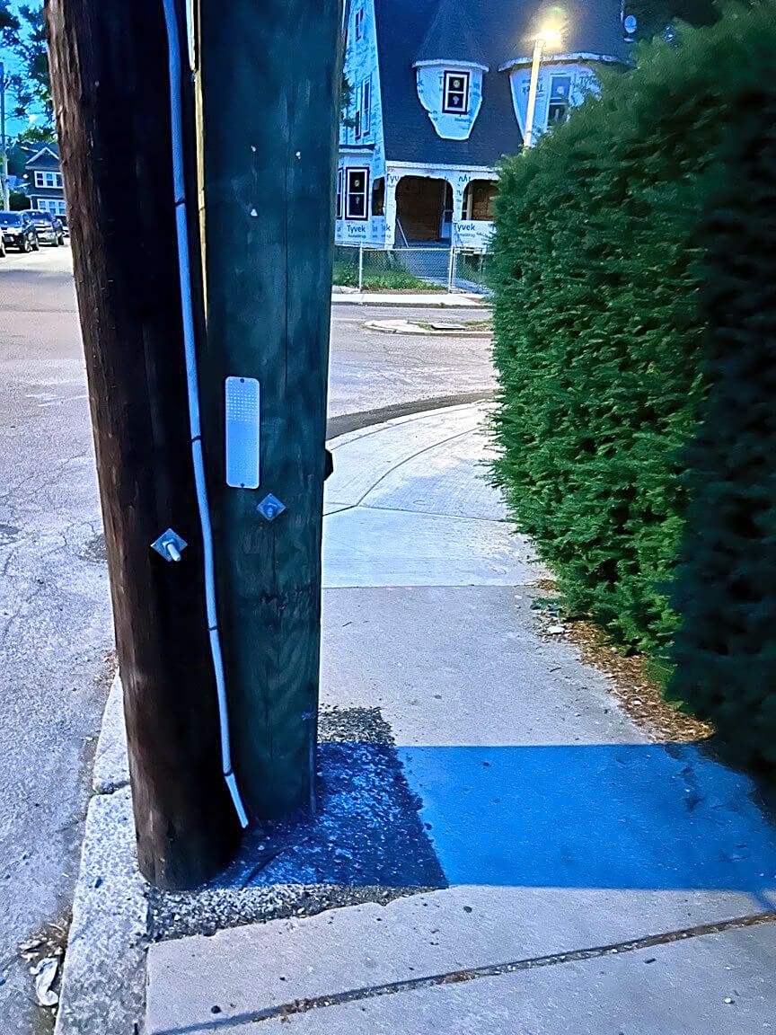 Image submitted with report