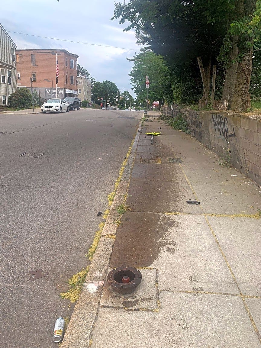 Image submitted with report