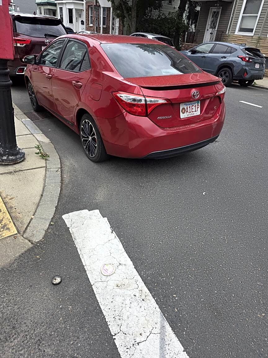 Image submitted with report