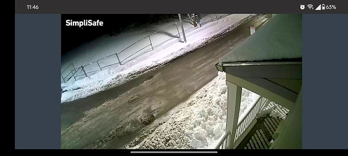 Image submitted with report