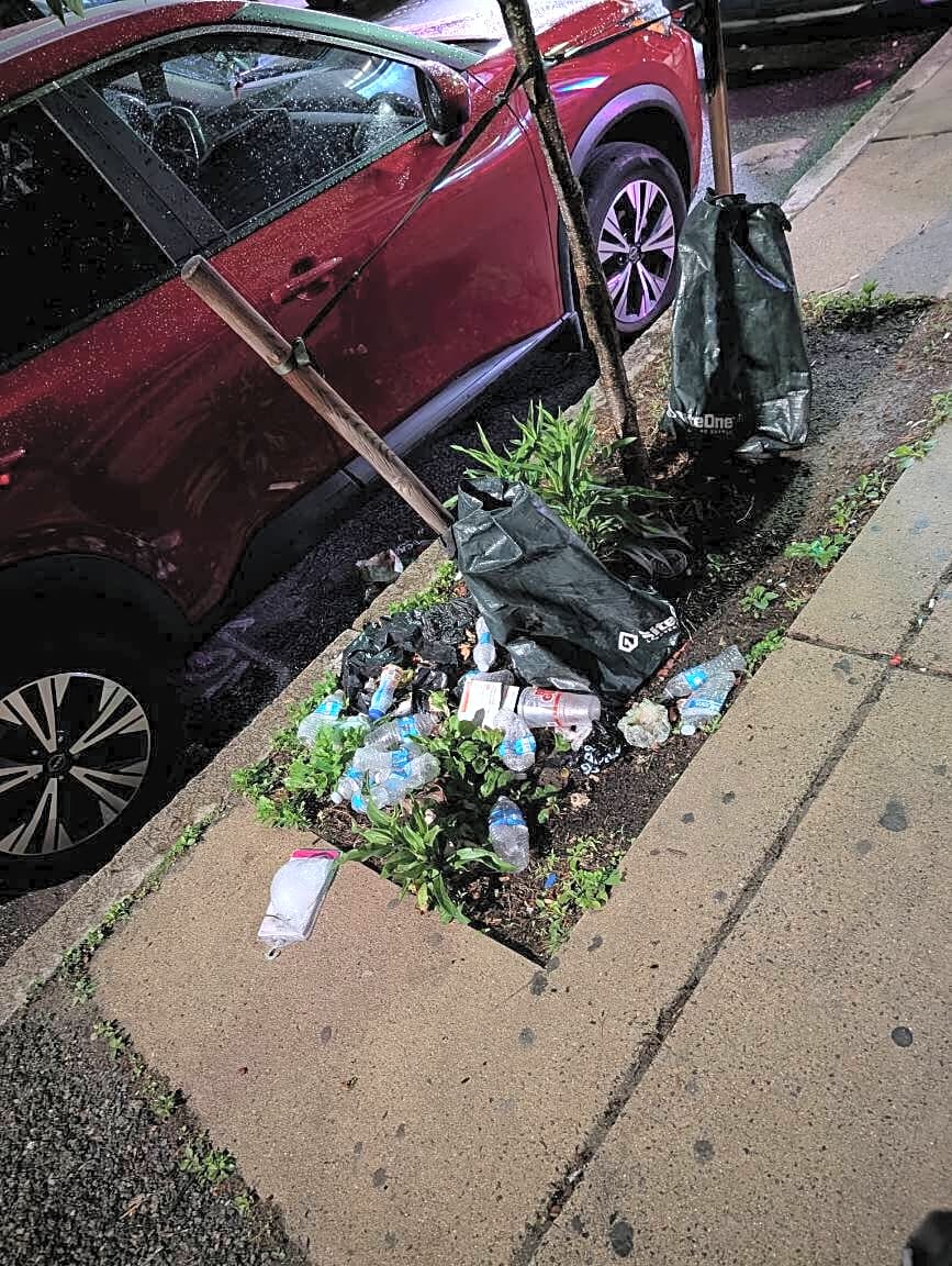Image submitted with report