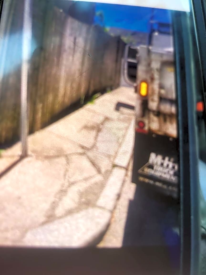 Image submitted with report
