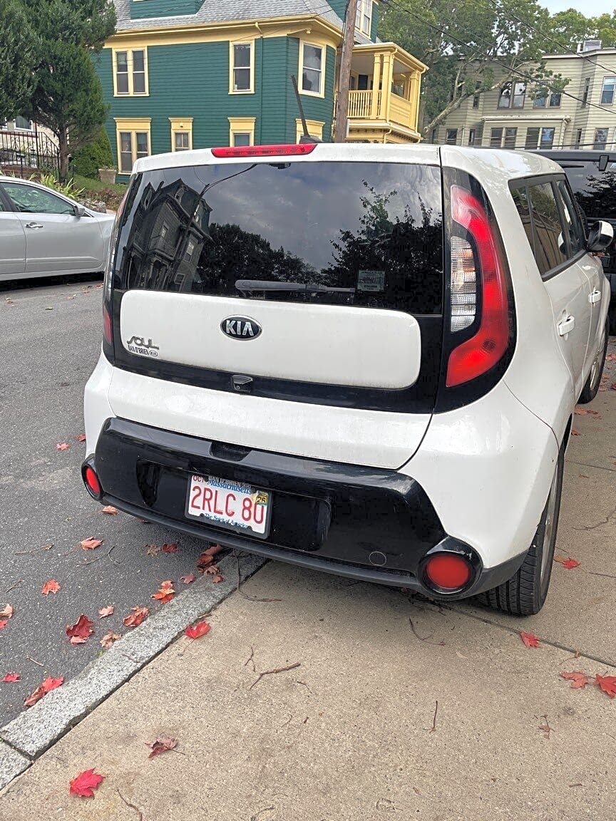 Image submitted with report
