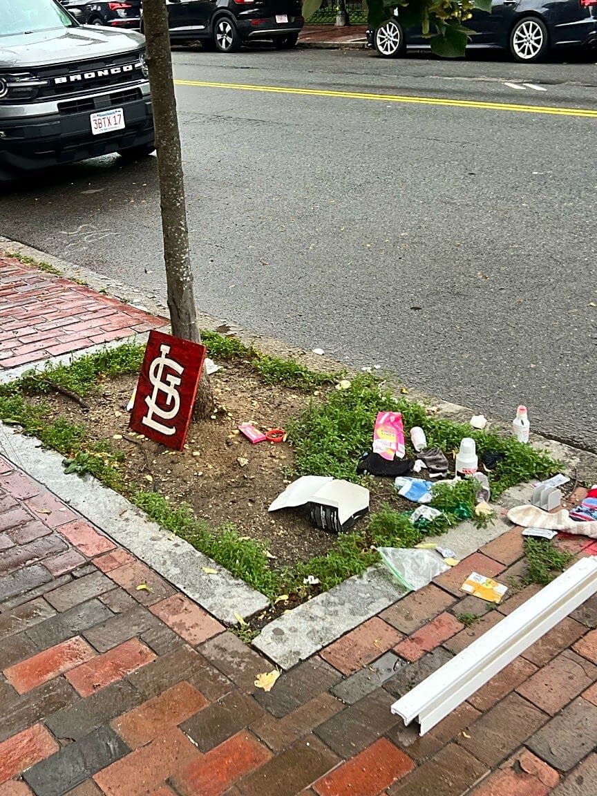 Image submitted with report
