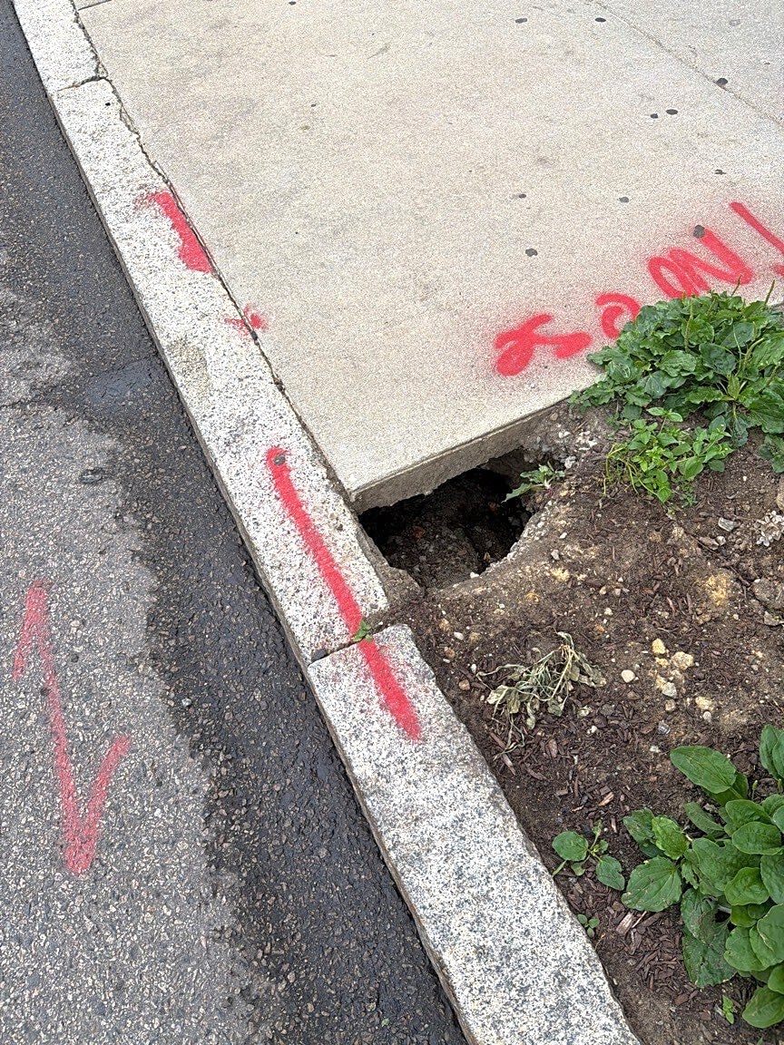 Image submitted with report