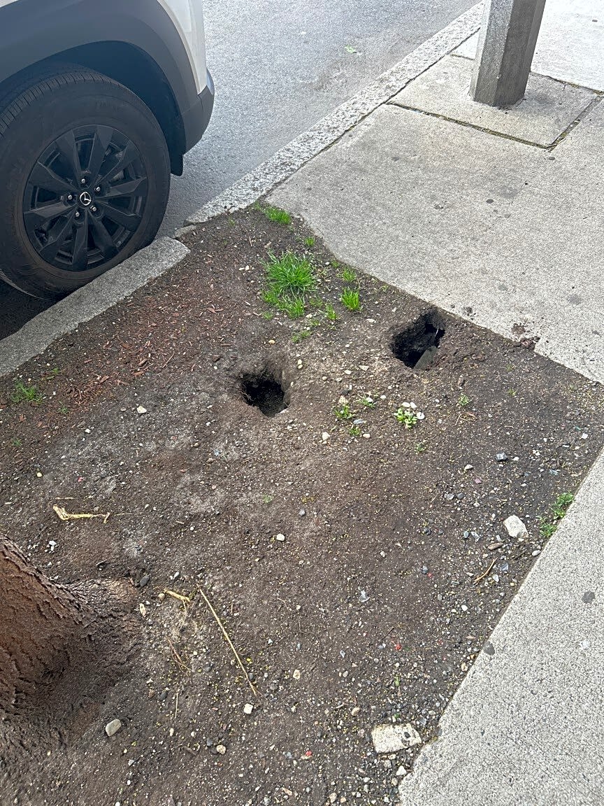 Image submitted with report