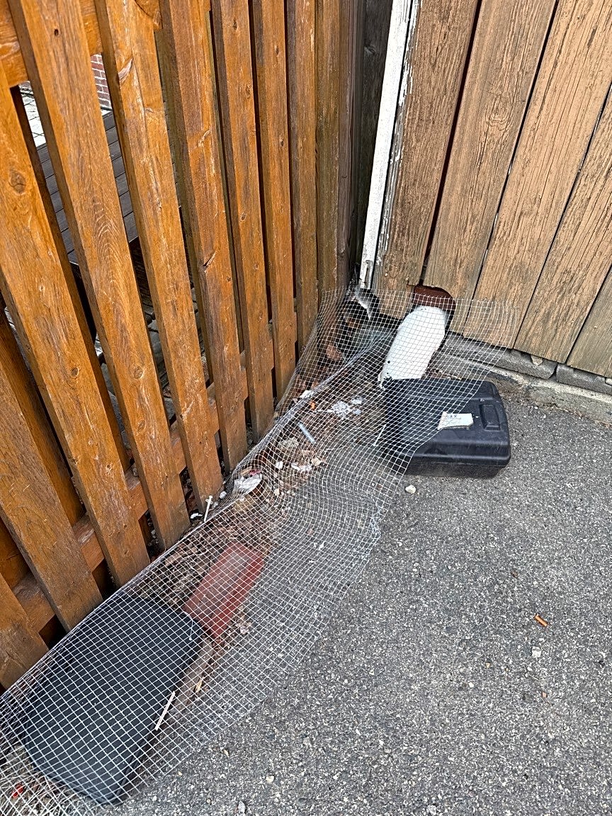 Image submitted with report