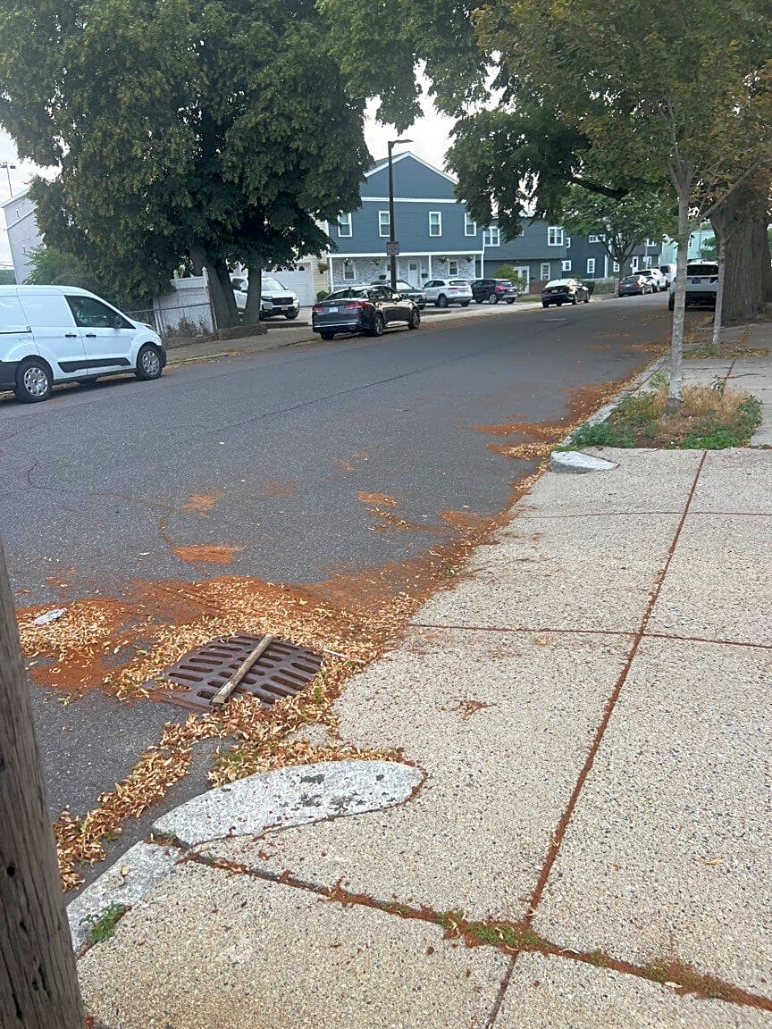 Image submitted with report