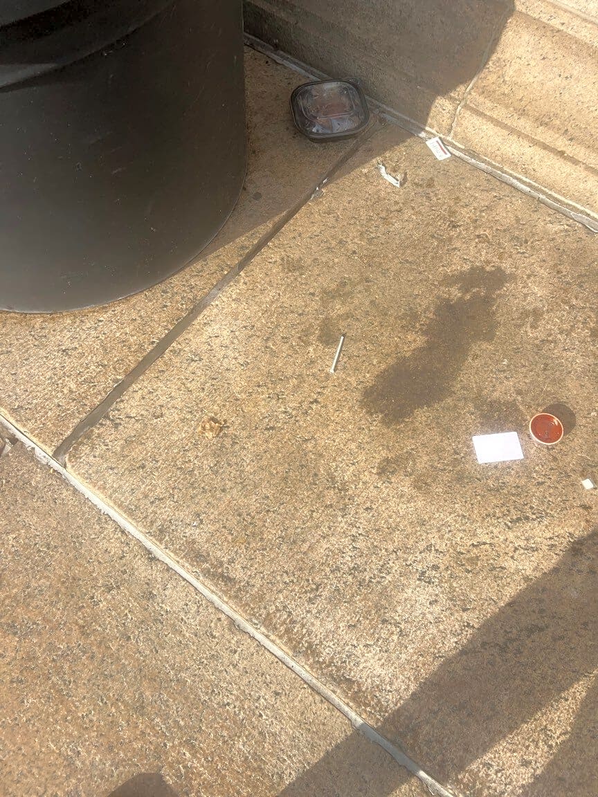 Image submitted with report