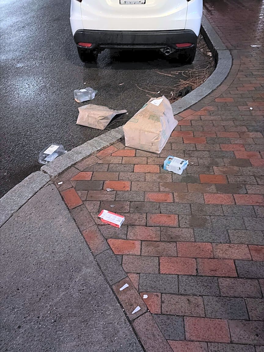 Image submitted with report