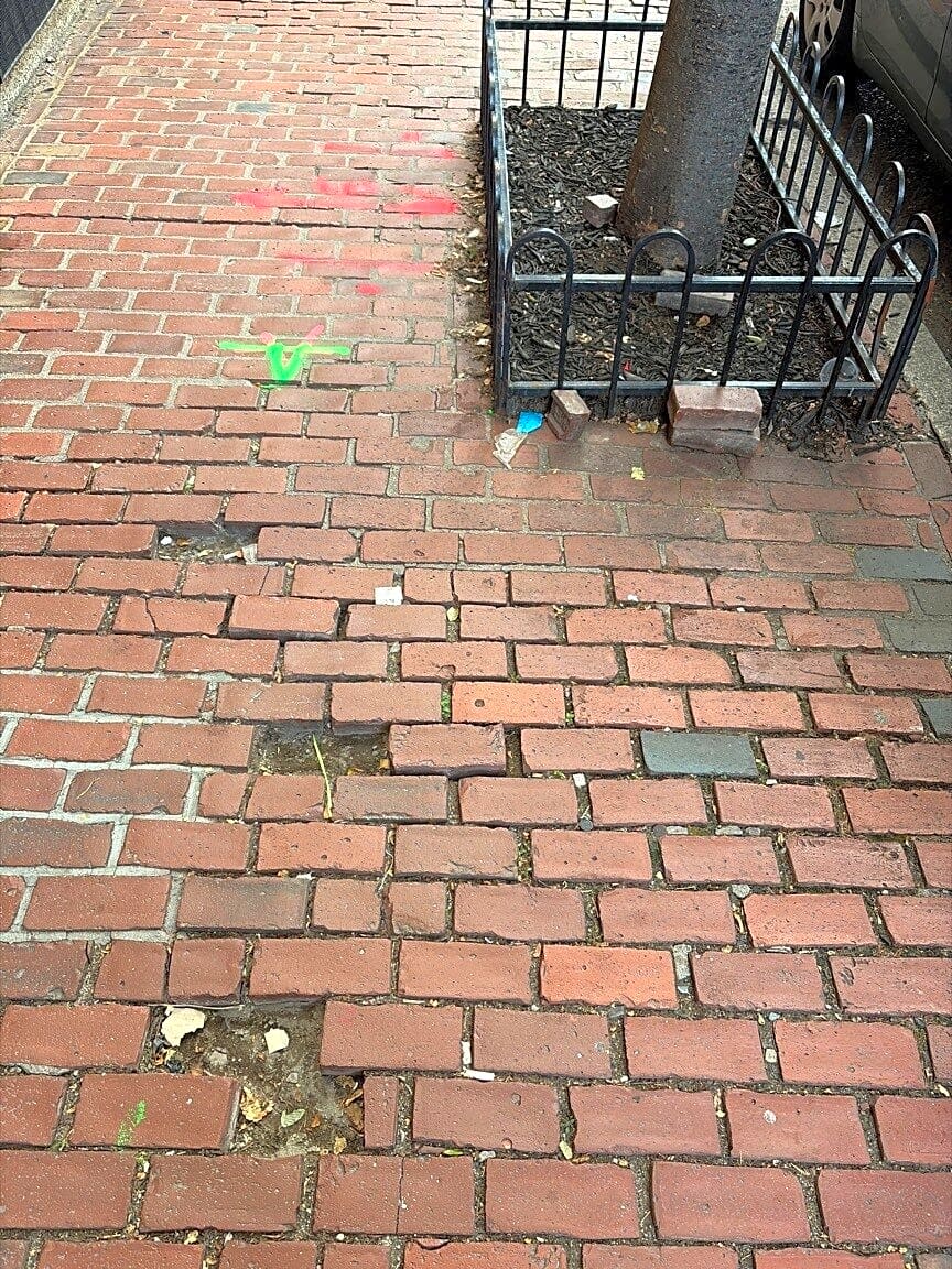 Image submitted with report