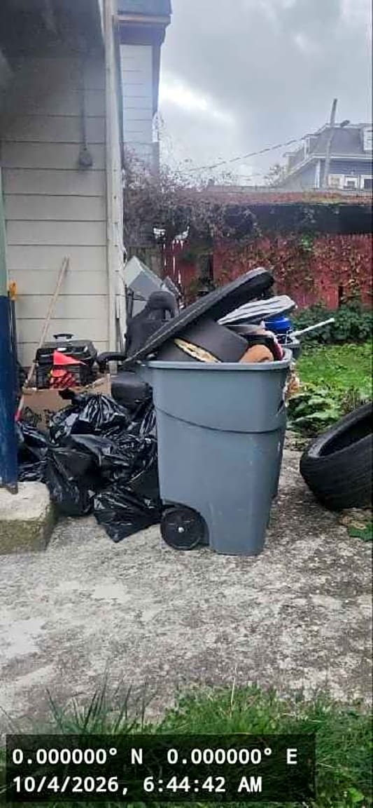 Image submitted with report