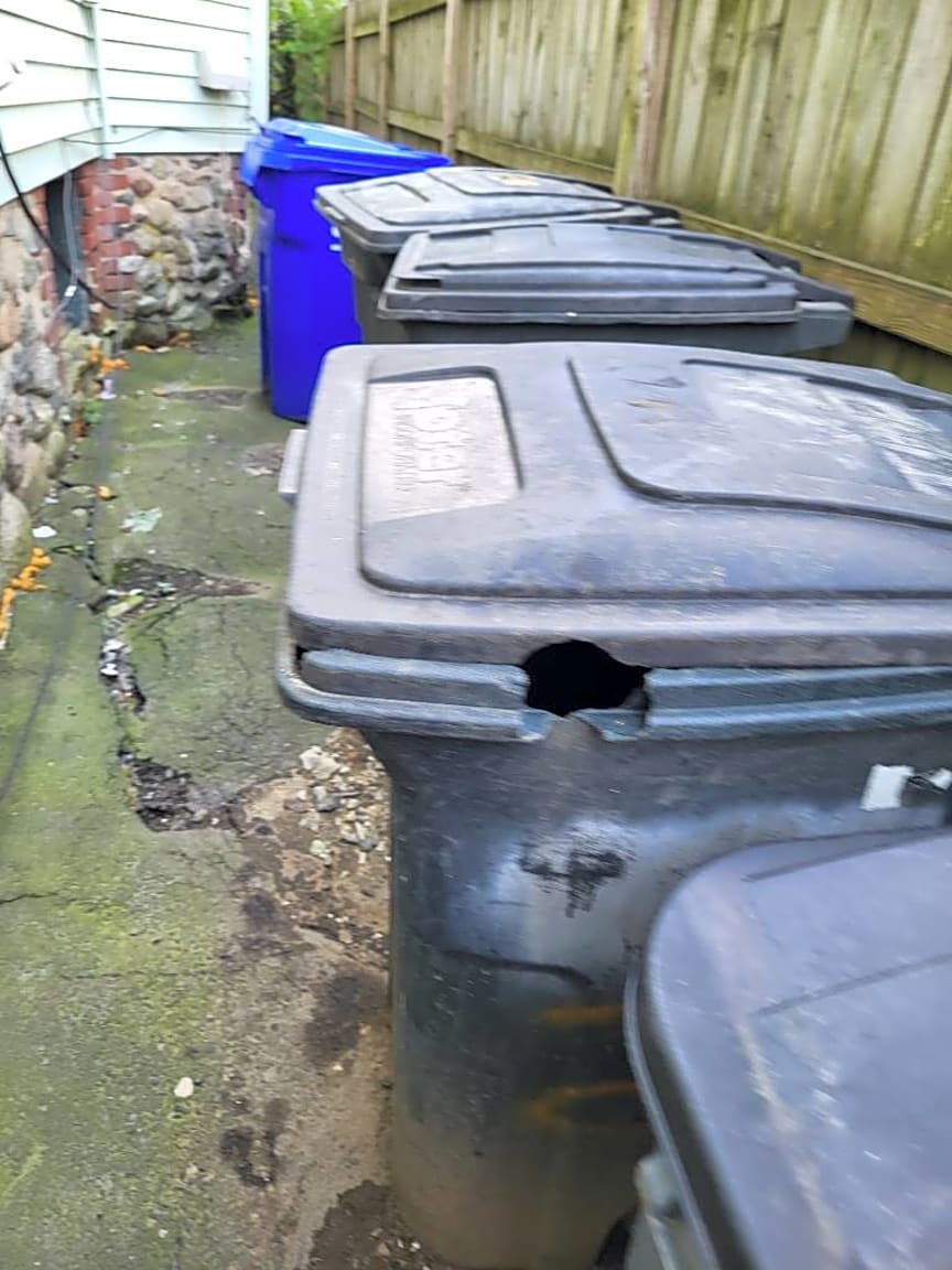 Image submitted with report