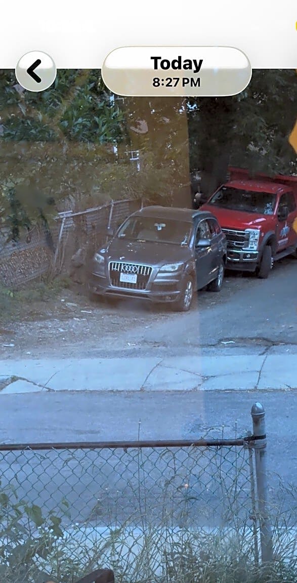 Image submitted with report