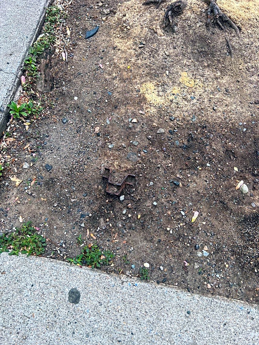 Image submitted with report