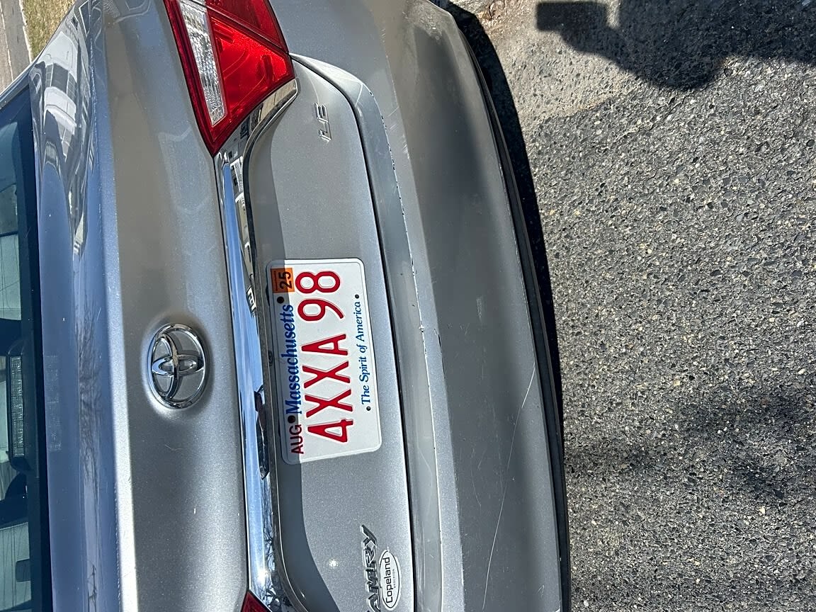 Image submitted with report