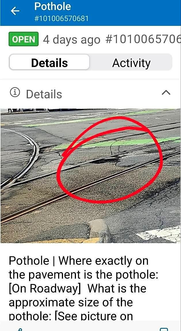 Image submitted with report