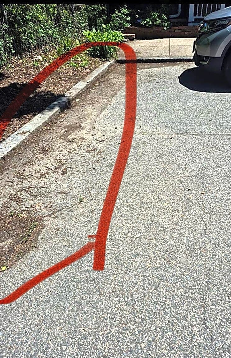 Image submitted with report