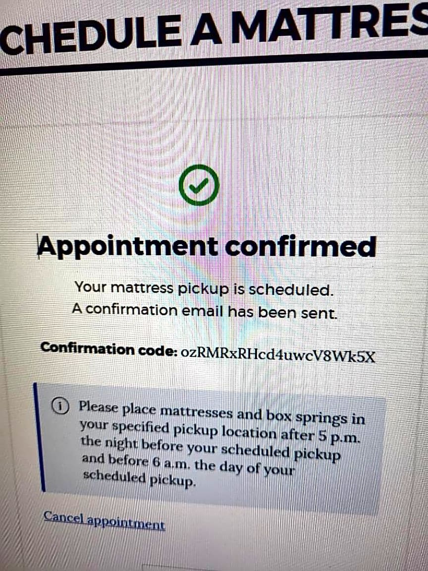 Image submitted with report