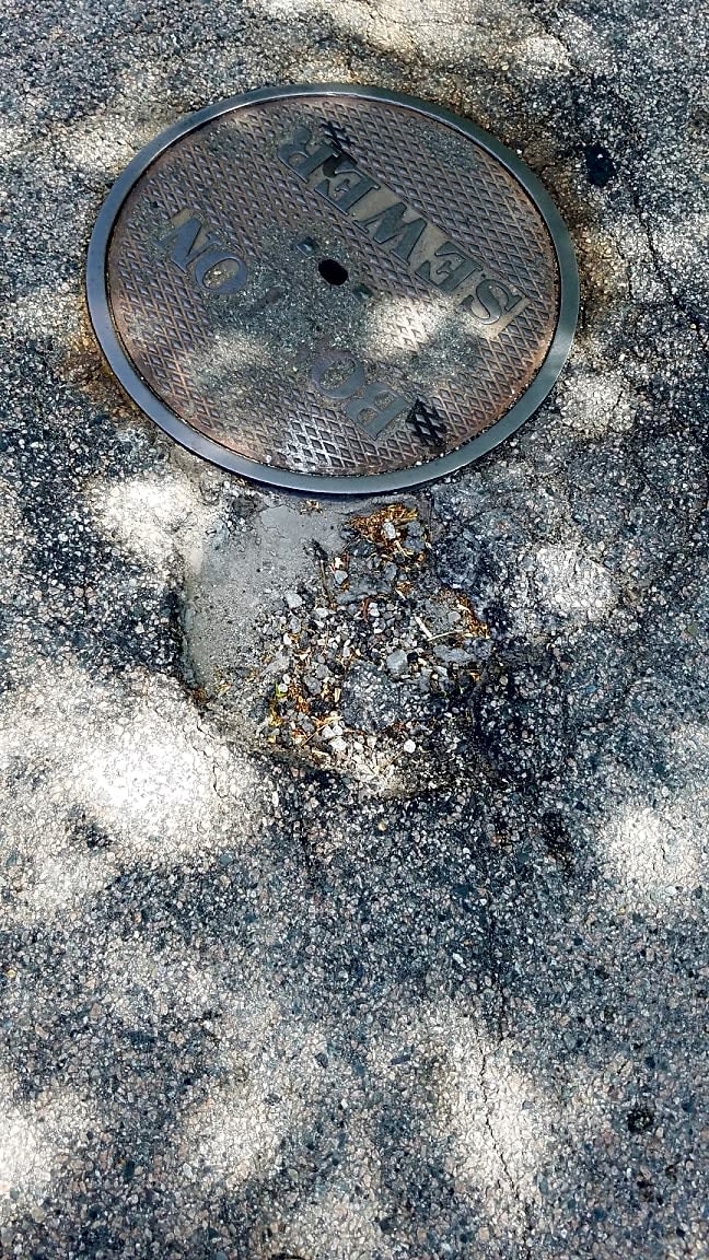 Image submitted with report