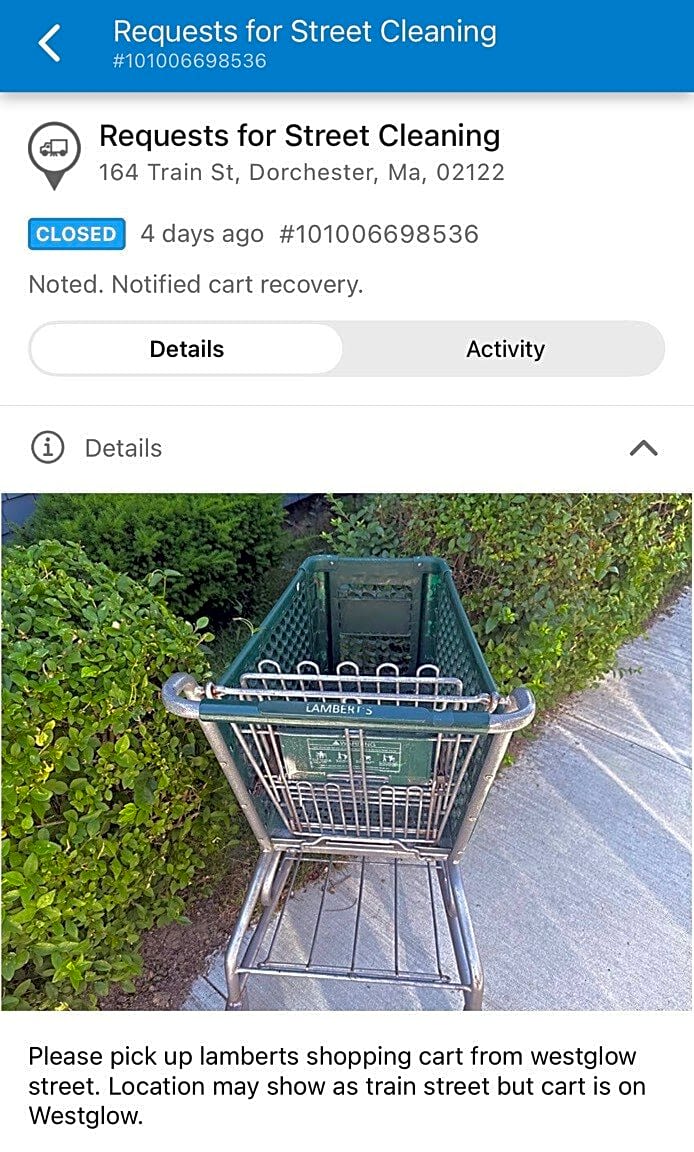 Image submitted with report