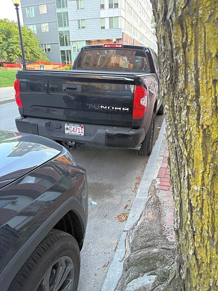 Image submitted with report