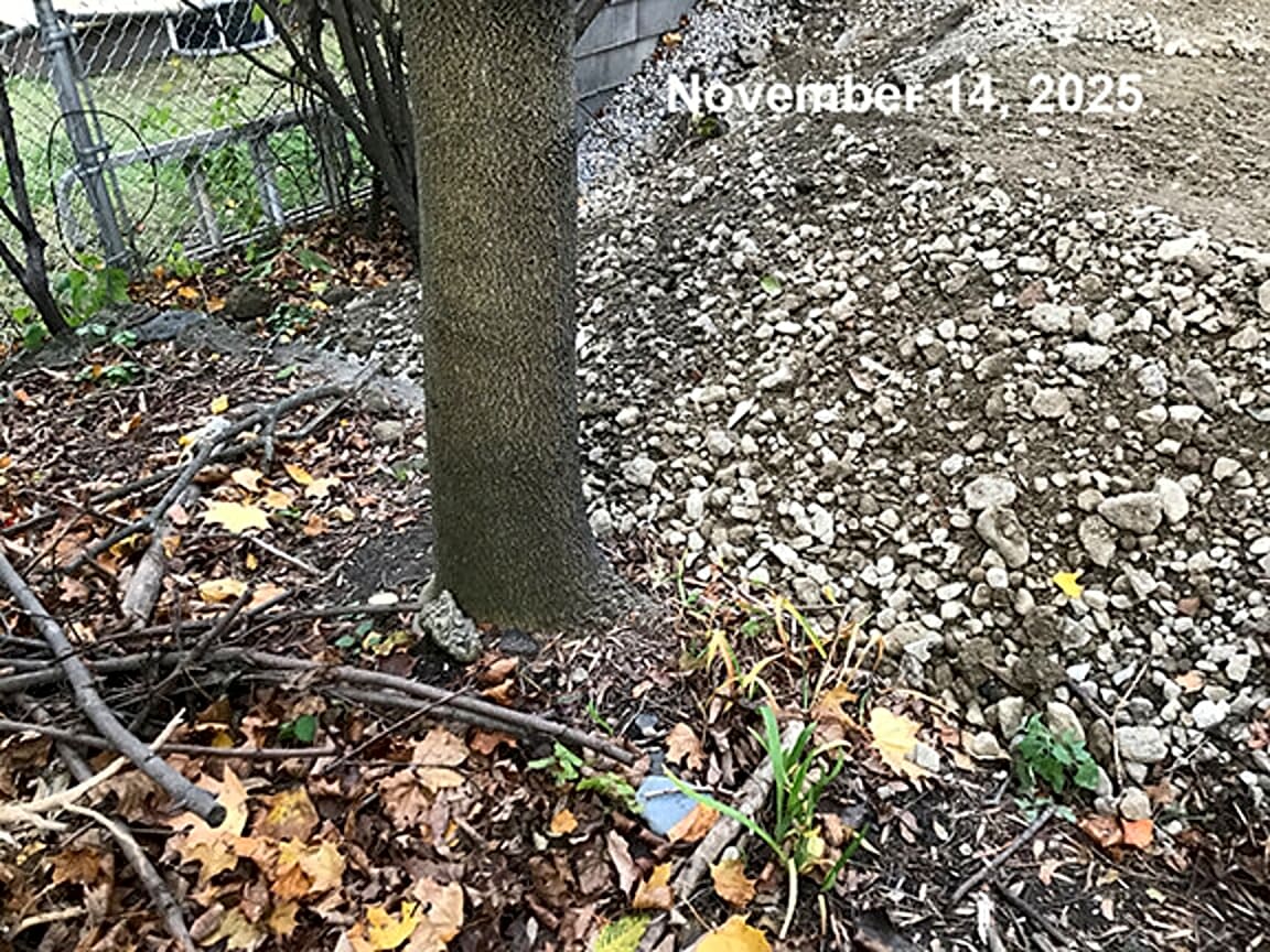 Image submitted with report