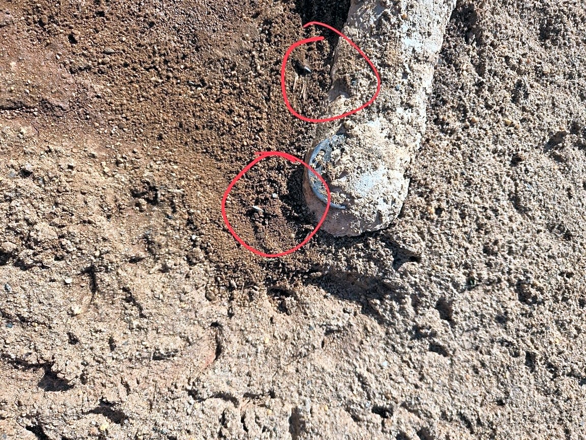 Image submitted with report