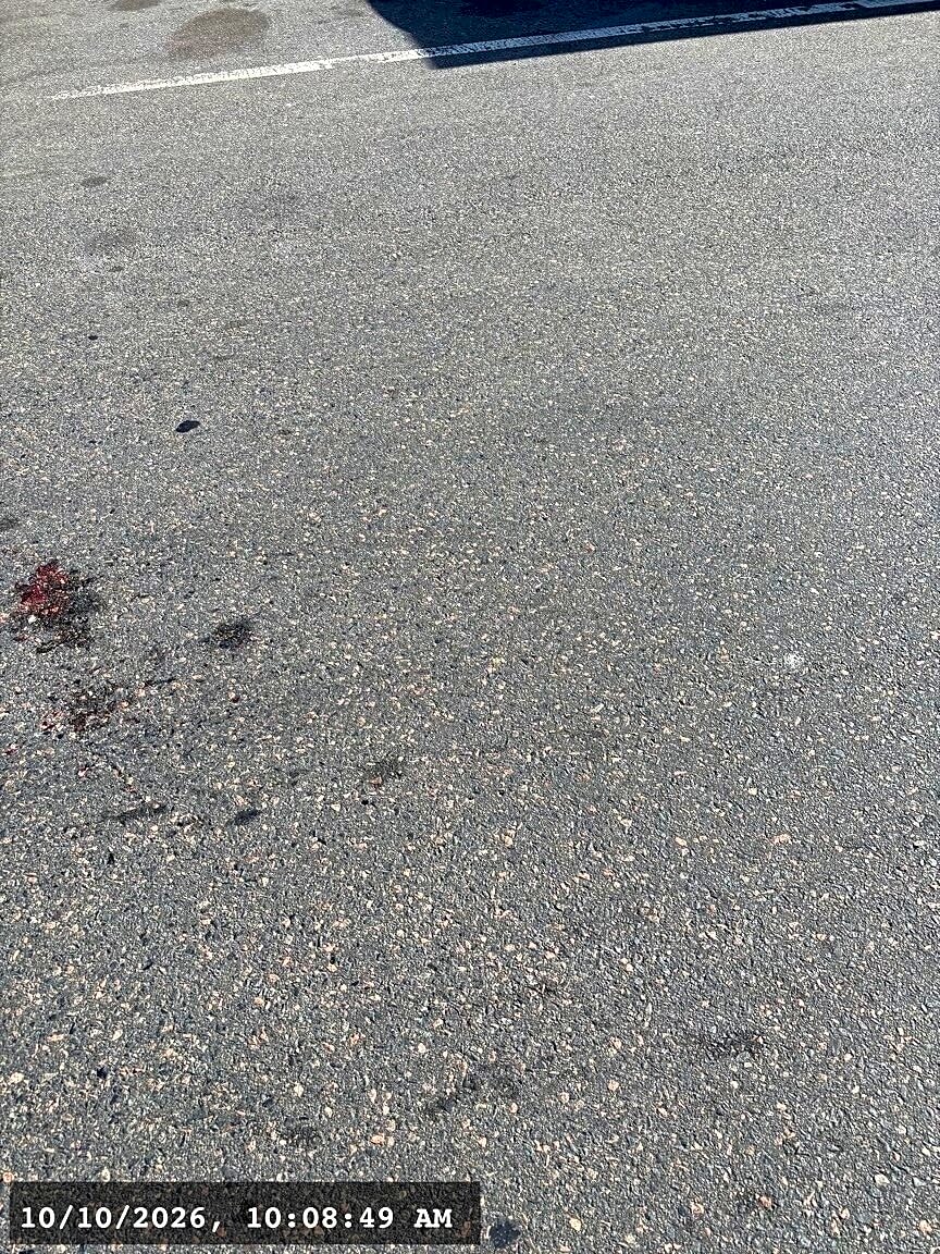 Image submitted with report