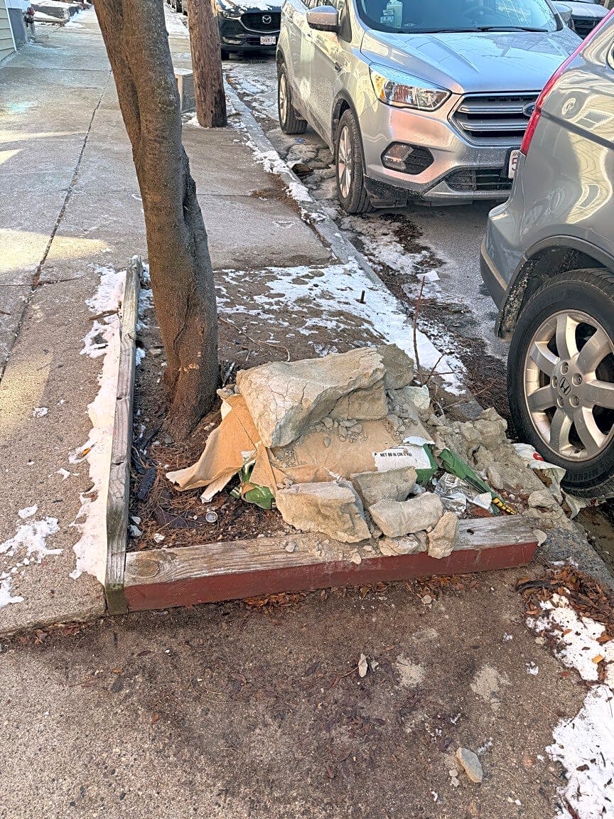 Image submitted with report