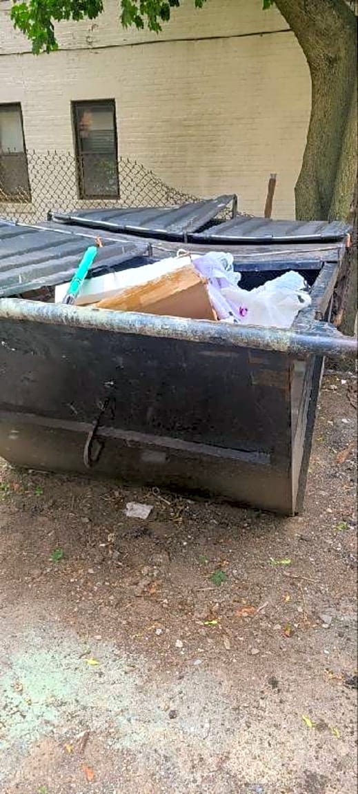 Image submitted with report