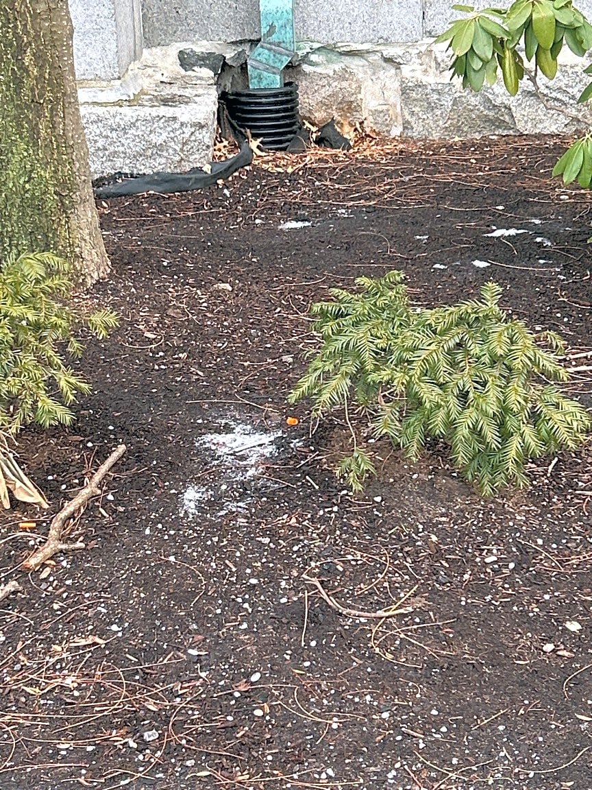 Image submitted with report